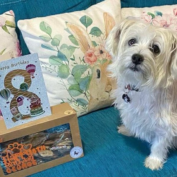 BIRTHDAY TASTING BOX