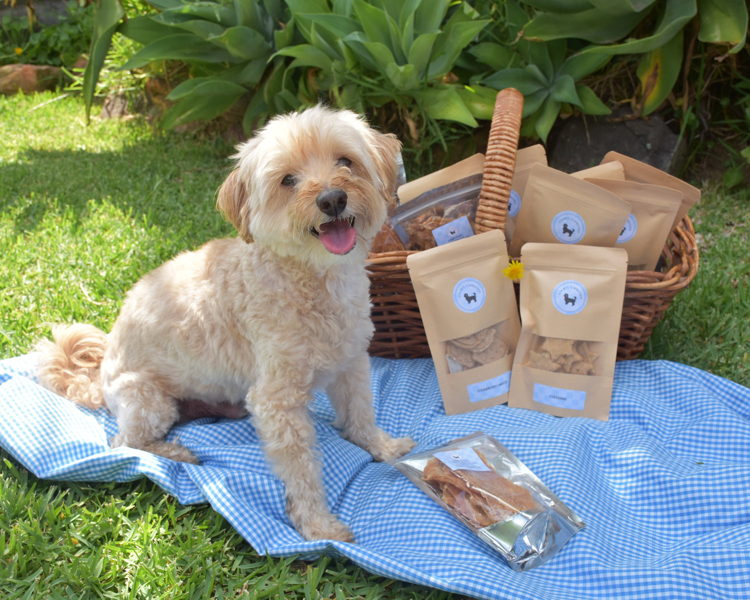 COOKIE BUNDLE