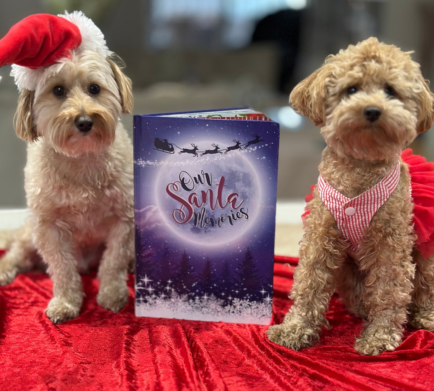 Santa Memory Book