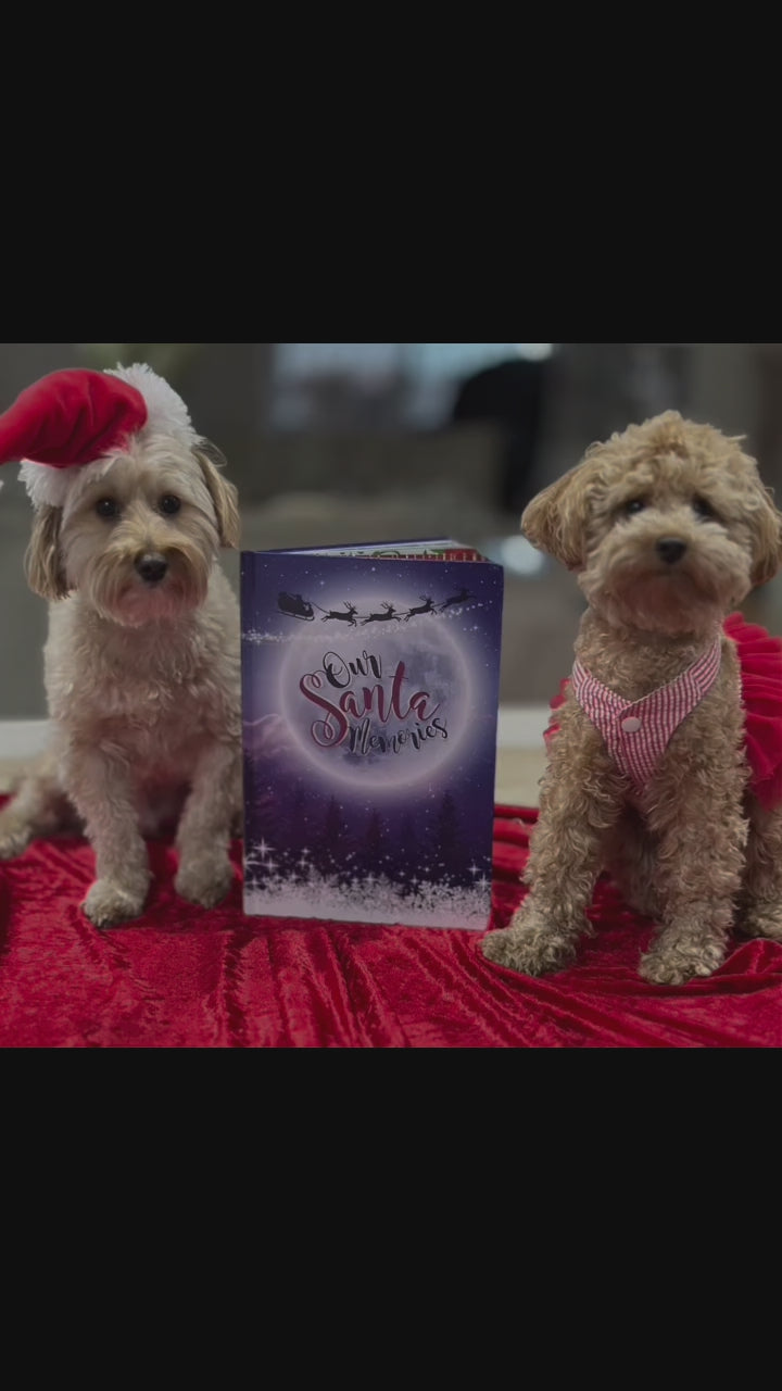 Santa Memory Book